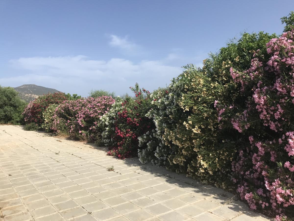 Sandy Beach Villa Πόλη Εξωτερικό φωτογραφία